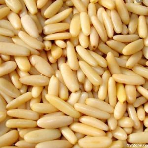 Pine Nuts