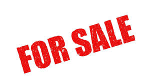 Website For Sell